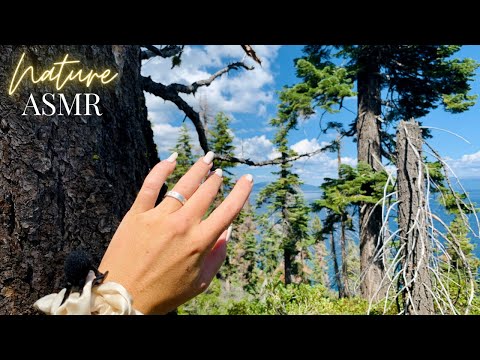 ASMR at Lake Tahoe California (Nature ASMR for Charity)