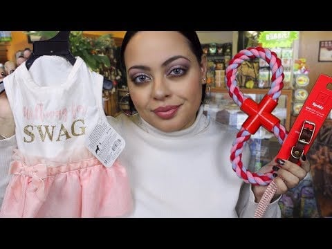 ASMR| Pet Store Assistance Roleplay