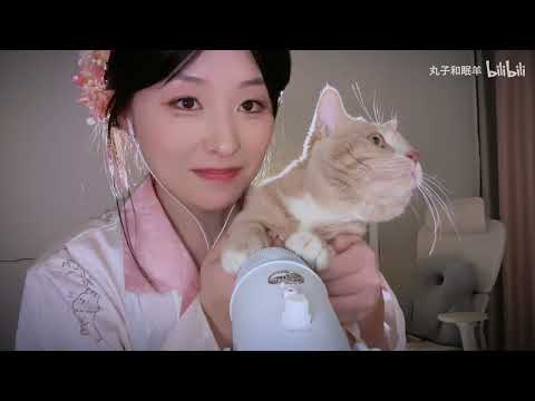 There are cat sleep-aid videos!Trigger sound of friction microphone.Whisper、Wooden spoon⋆.˚✮🎧✮˚.⋆