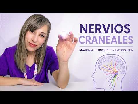 ASMR Neurológico🧠Exploración de tus Nervios Craneales | Examen relajante