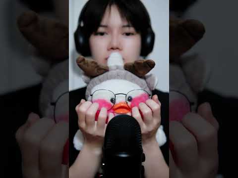 ASMR TEDDY 🐣🧸 BRUSHING  #asmr #relax #brushing