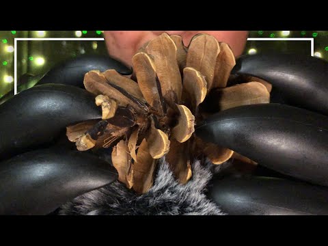 ASMR Tingles with the Pinecone! (No Talking)