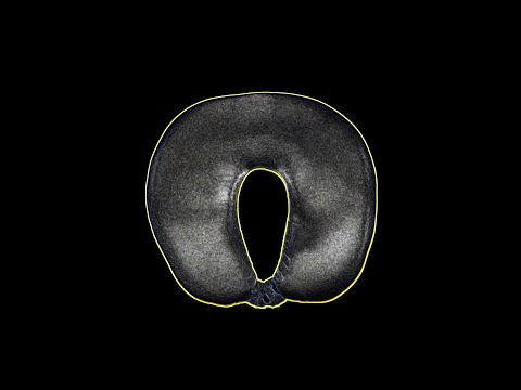 ASMR – 58 Fluffy neck pillow [No talking]