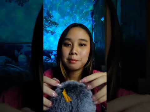 ASMR Bugs Searching and eating #asmr #triggers #asmrsounds #bugs