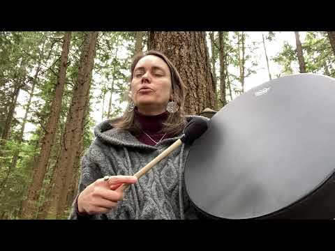 Guided shamanic drumming journey - meet your ally (spirit guide or power animal)