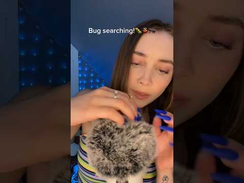 #asmr #asmrtingles #bugs  #asmrvideo #sassysoundsasmr