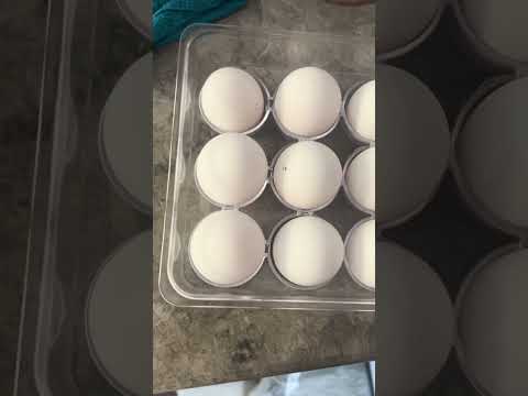 ASMR organizing eggs #asmr #satisfying