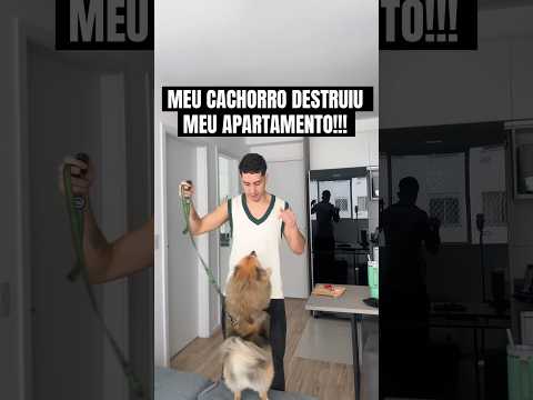 MEU CACHORRO DESTRUIU MEU APARTAMENTO! #asmr