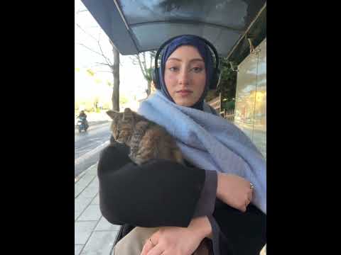 #akım #öneçıkar #cat #cats #cute #catvideos