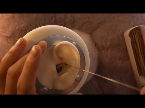 ASMR Realistic Ear Cleaning Shop Experience 🎧 1:1 Immersive Audio | #ASMR #Immersive #Relaxation