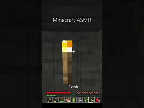 Minecraft Tingles