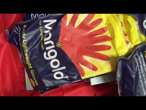 GLOVES  👉  🌼  MARIGOLD ❤️  [[ASMR]]