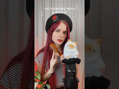 Cat Purring ASMR Trigger 🐈