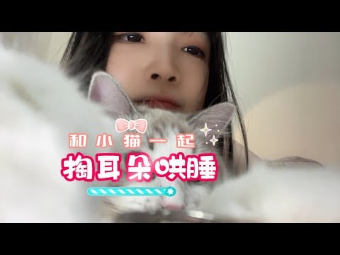 【ASMR / shorts vol 108】ASMR 和小猫一起掏耳朵哄睡