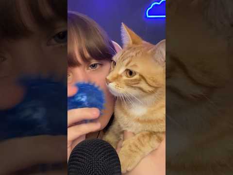Do You Have ADHD?🐱 #asmr #shorts