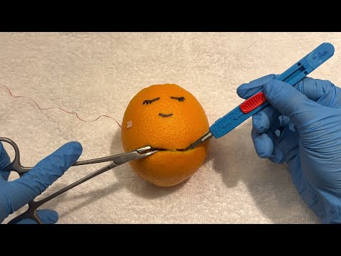 ASMR - Cirugía REAL a una Naranja🍊