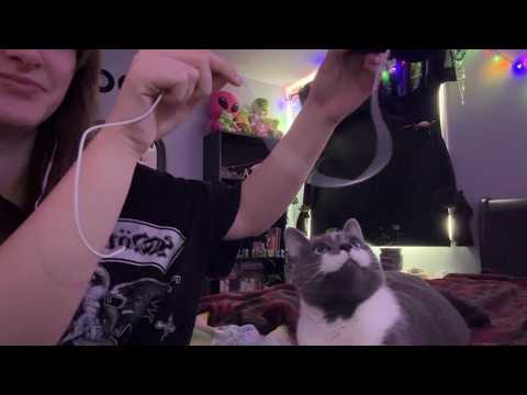 Chaotic Cat ASMR | purring, biting, fur, whispering...