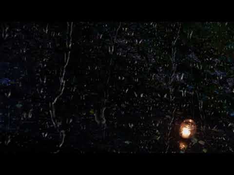 🌧️ LIVE Heavy Rain Black Screen | OLED Friendly Rain Sounds for Sleep, Relaxation & ASMR