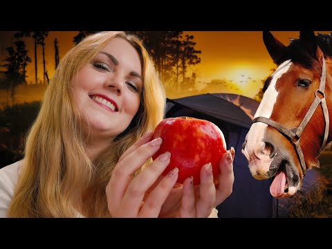 ASMR Deutsch: Ich KÜMMERE MICH UM DICH nach unserem Ausritt 🐴 (Einschlafen mit Personal Attention)