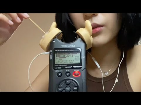 ASMR Ear Cleaning No Talking 🦚 - RAINIE ASMR
