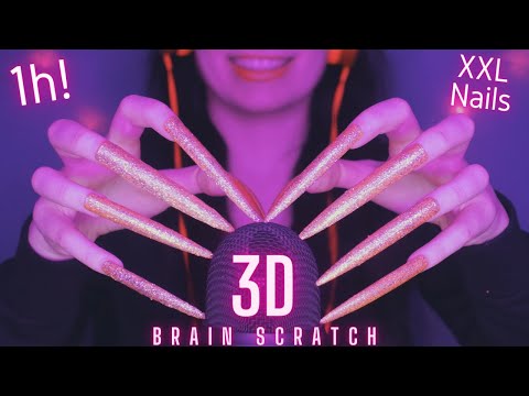 Asmr Mic Scratching - Brain Scratching | Brain Melting Asmr No Talking for Sleep with Long Nails 1H