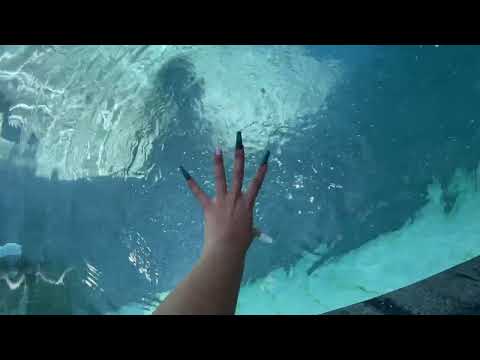 ASMR AT THE POOL💦 (some talking)