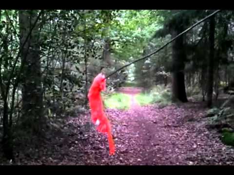 ♫  SWINGING IN THE RAIN  ♫