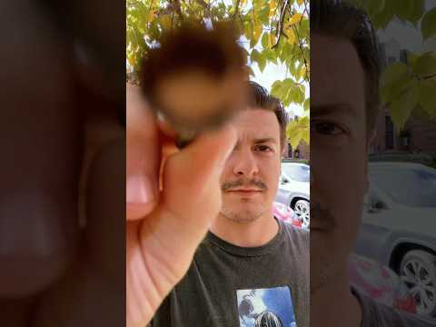 Tracing with a stick #asmr #visualasmr #asmrshorts #shorts #visuals #raeasmr #tracing #relaxing