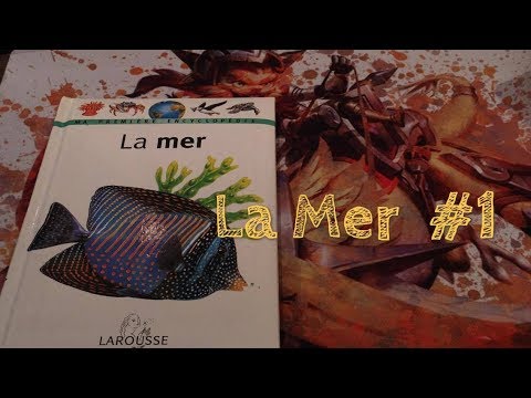 ASMR FR : La mer n°1    NEW série !!