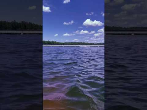 #asmr Water Sounds on the River #watersounds #riverasmr #raeasmr #asmrshorts #asmrsounds #relaxing