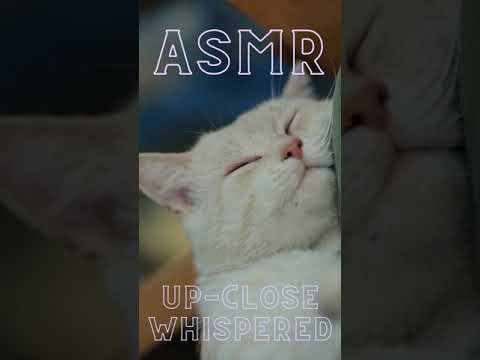 Binaural whispers all about Cats #asmr #shorts
