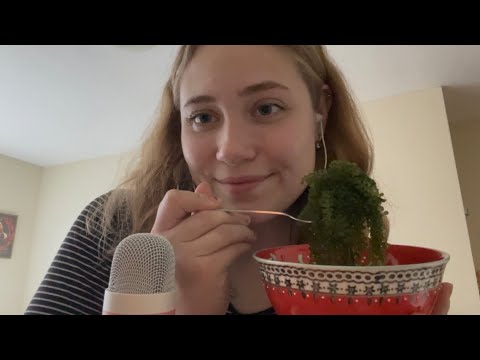 [asmr] eating sea grapes + crunchy candy