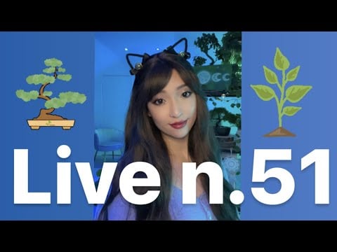 🔵 LIVE n°51 - Petit LIVE tranquille, on passe un bon moment, Pogo le chat veut des câlins...