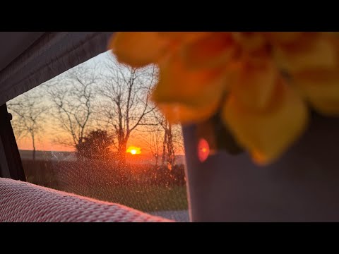 ASMR Ramble: Campervan Life