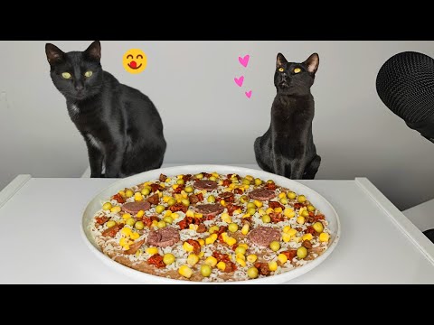 Cats eating Pizza ASMR