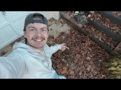 [ASMR] Fall Leaf Crunching | 100% CRUNCH
