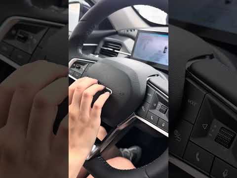 ASMR EM UM BYD KING