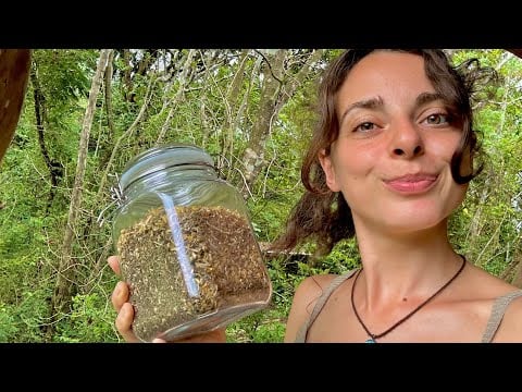 [asmr] making a herbal tea blend outside 🌿⚘.⋆˚࿔ lofi