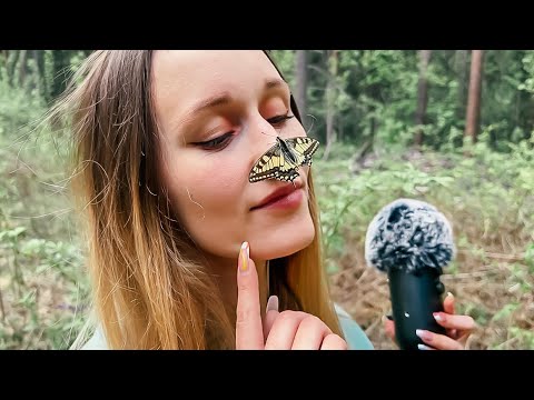 АСМР В Лесу 🌳 ASMR IN THE FOREST ✨