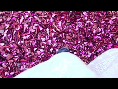 ASMR feet walking on petals