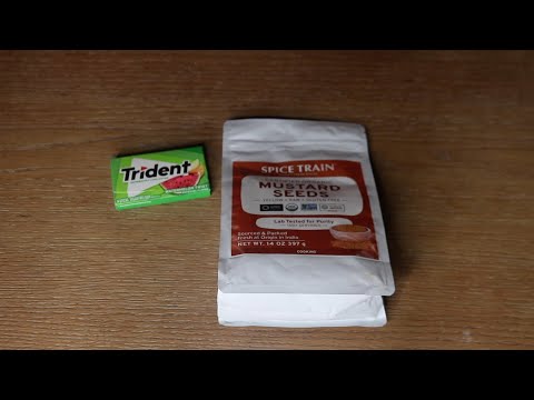 Mustard Seeds ASMR Sounds