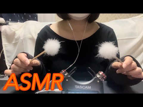 【ASMR】耳と脳が喜ぶシャカシャカ音がたまらなく気持ちいい耳かき👂✨ An irresistibly pleasant earpick that delights the ears🤗