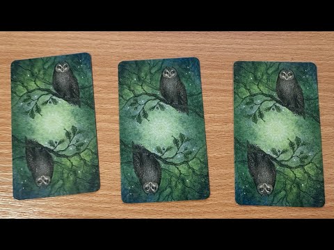 ASMR Forest of Enchantment Tarot Reading - 3 Card Reading