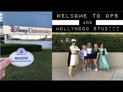 welcome to ops and hollywood studios // dcp spring 2019