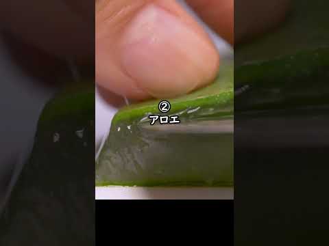 トイレ行ったら負け❗️どの音が一番キツい？　#asmr