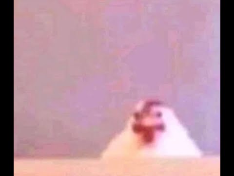 Mondays Stink ASMR Livestream