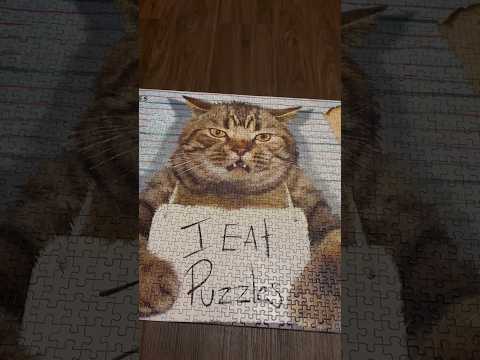 ASMR Tapping On A Cat Puzzle #ASMR #Shorts