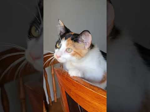 Jaydyns sister Spooky girl