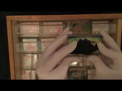 History Stamps & Latex Gloves [[ASMR]]