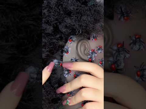 Bugs 🐜 #asmr #relax #visualtingle #mouthwhisper #satisfying